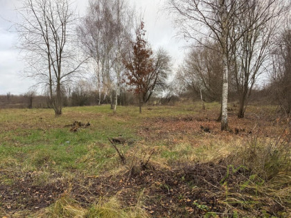 Malownicza działka w Dołujach z MPZP