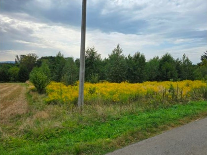 Nieruchomość niezabudowana - Kończyce Małe