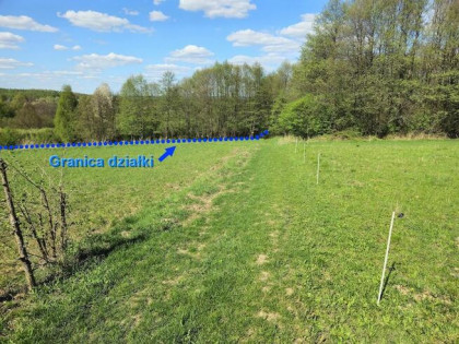 Sprzedam działkę rolną o powierzchni 1,09 hektara