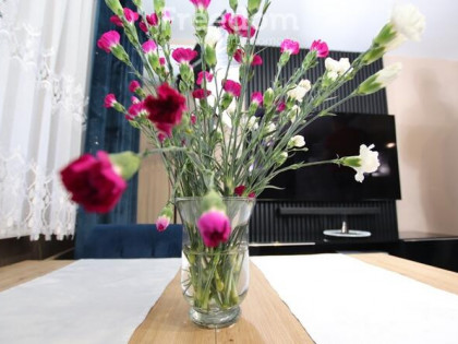 Przytulne 2 pokoje z klimatyzacją | na start