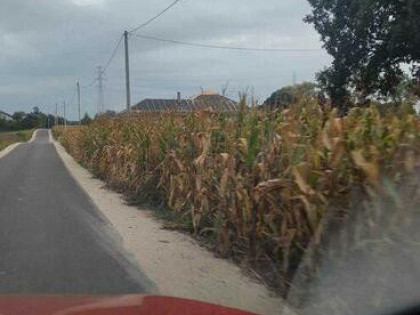 Sprzedam działkę budowlaną z warunkami zabudowy