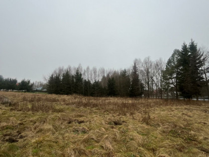 Działka budowlana 20 minut od Sky Bridge 721