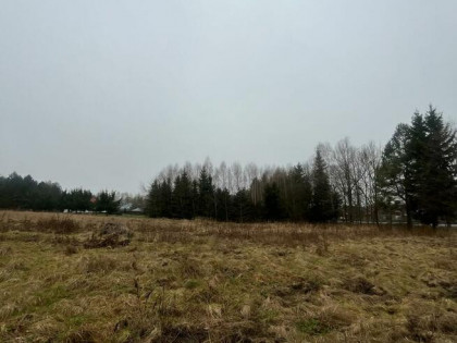 Działka budowlana 20 minut od Sky Bridge 721