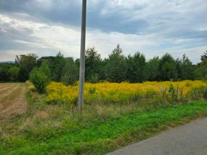 Nieruchomość niezabudowana - Kończyce Małe