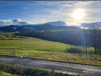 Działka Niedźwiedź