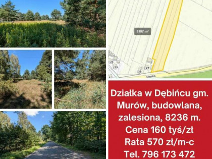 Działka zalesiona 8236m z mediami