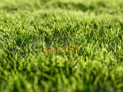 BIESTRZYNNIK/Działka rolna 1,14ha