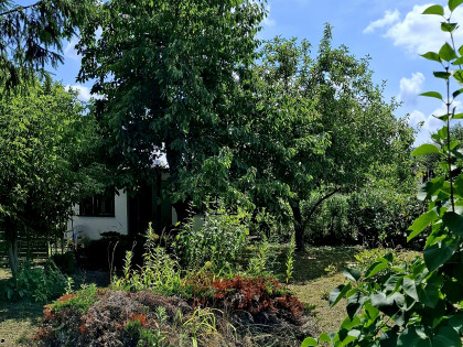 Działka rekreacyjna ROD