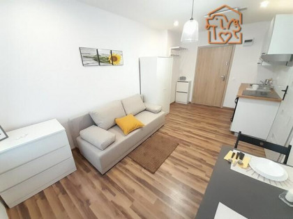 Kawalerka przyjazna dla zwierząt, Modrzejowska 89