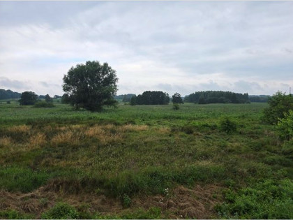 Udział w nieruchomości - Lyski