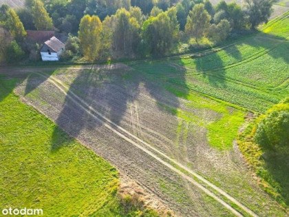 Działka budowlana 1500 m² – Suszki, 8 km od Bolesławca