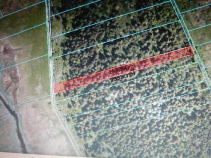 Lipina działka leśna 80 letni las 0,31 ha torfowe podłoże