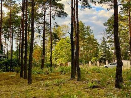 Działka budowlana Warszawa Wesoła, Zielona