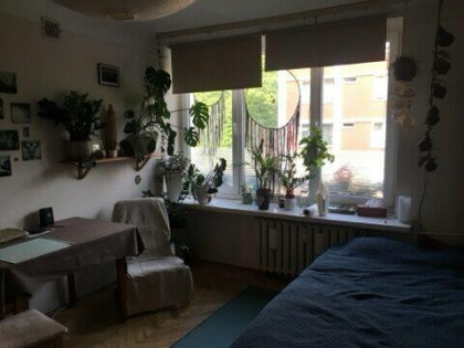 kawalerka do wynajecia