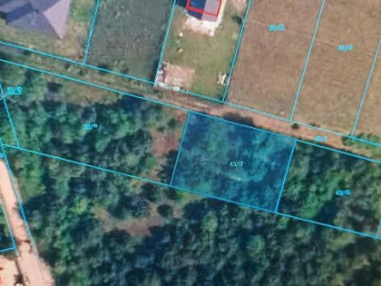 Działka Stasi las ul Jutrzenki