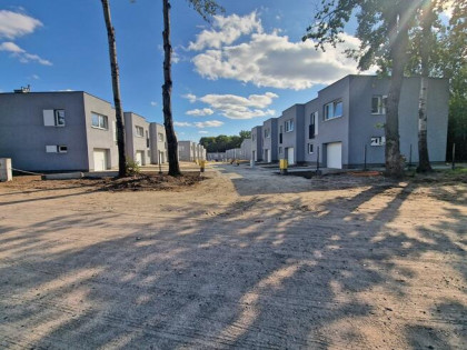 Dom Nowe Bielice gm. Biesiekierz, Żonkili