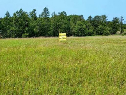 Działka z linią brzegową jeziora Wygryny w Wygrynach