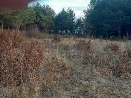 Sprzedam działkę budowlaną