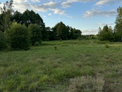 Sprzedam działkę w Radziwiłce, gmina Młodzieszyn