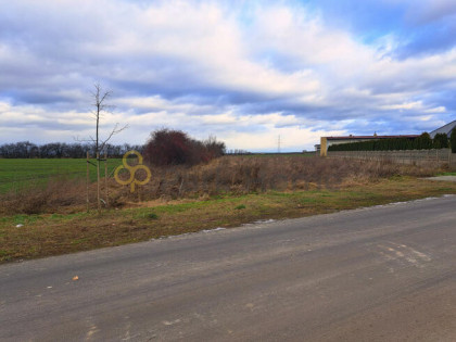 Działka budowlana Kościan,