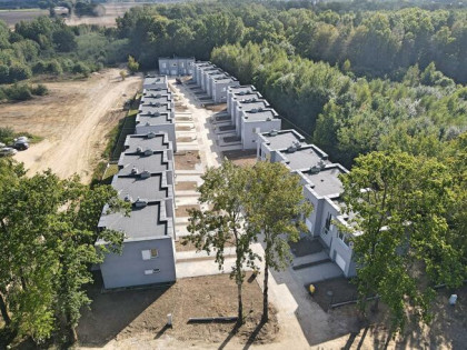 Dom Koszalin, Żonkili