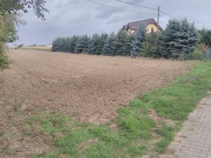 Sprzedam dużą działkę w Jaraczewie koło Jarocina.