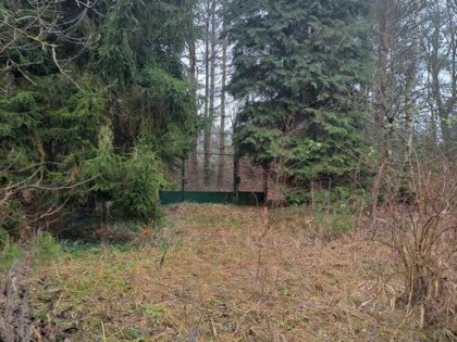 Urocza działka w Zofiówce, niedaleko Łodzi