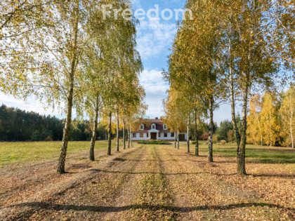 Dworek z dużą działką blisko lasu i jeziora