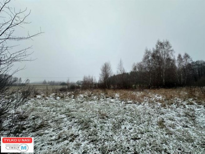 Działka rolna Śladków Duży Śladków Duży