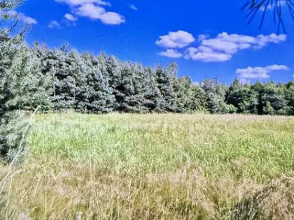 Działka budowlana szeroka długa pod lasem 2500. Lub 5600m