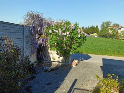 SPRZEDAM DOM Z POTENCJAŁEM