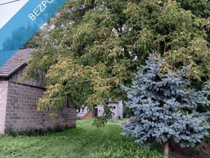 Dom wolnostojący - Ostrówek