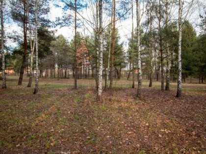 Działka budowlana Koszęcin, Słowików