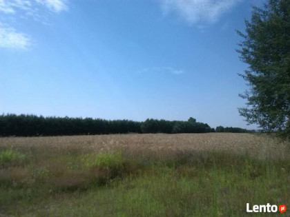 Sprzedam ziemie na KRUS 5zł/m2