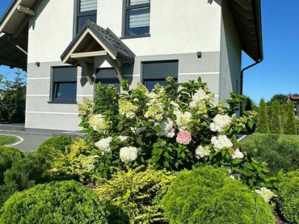 Dwa domki letniskowe blisko lasu i morza