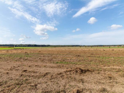 Działka budowlana Sieraków Śląski gm. Ciasna, Osiedlowa