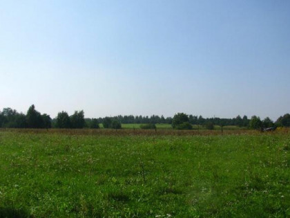 Działki  budowlane w Myśliborzu