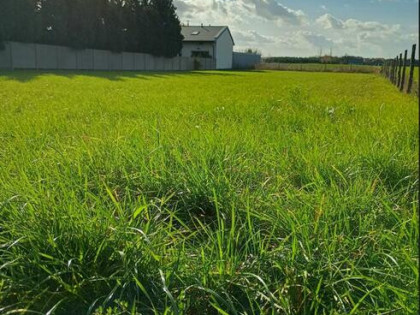 Działka budowlana 1600m2 Sieradz ul.Widawska