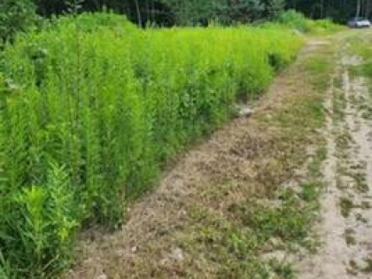 Sprzedam działki budowlane