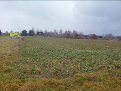 Sprzedam działki budowlane Kębło 25ar-1,5ha