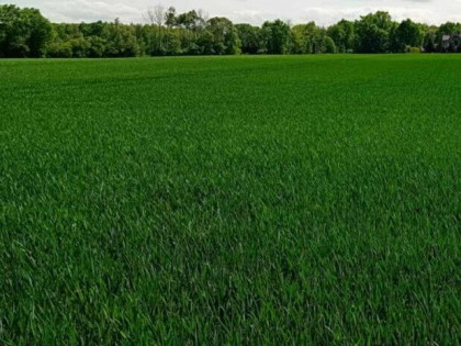 Sprzedam działkę budowlaną