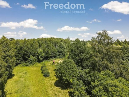 Działka 62,87 ar z zabudowaniami przy lesie