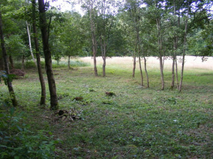 Sprzedam działki rekreacyjno - letniskowe