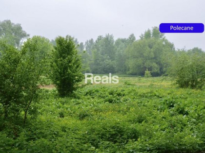 Dla inwestora 2 ha Skierdy, Jabłonna.