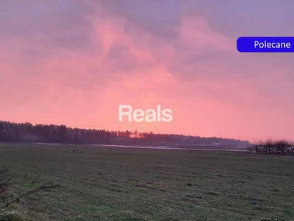 Działka Złotopolice