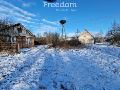 Siedlisko na końcu świata - Waliska, Latowicz