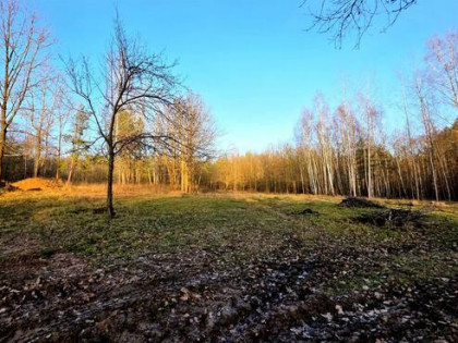 Działka inwestycyjna Kaniów Kaniów