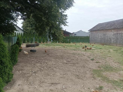 Sprzedam siedlisko NOWA CENA