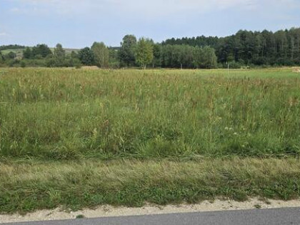 Udział 1/2 nieruchomości niezabudowanej - Borowiec