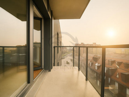 50 m² browarowej kompozycji smaku *Limited*